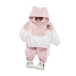 Autumn Children Baby Boys Girl Clothes Hoodies Cartoon Sweatshirt Pants /sets Infant Kids Casual Clothing Toddler Tracksuits LJ201202