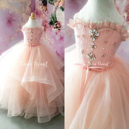 Blush Pink Ruffles Flower Girl Dresses For Wedding Beaded Crystal Lace Baby Wedding Guest Dress Birthday Gowns