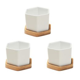 NEW 3 Sets of Small White Ceramic Hexagonal Succulent Containers Plant Pot Cactus Planter Pot with Bamboo Tray Y200709