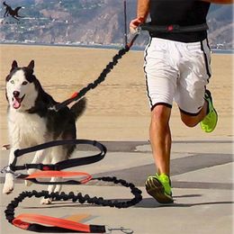 [TAILUP] Dogs Leash Running Elasticity Hand Freely Pet Products Dogs Harness Collar Jogging Lead and Adjustable Waist Rope CL153 LJ201130