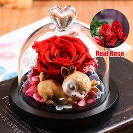 Eternal Flower Handmade Preserved Real Rose Glass Cover Immortal Flowers With Box Valentines Day Birthday Gifts for Girlfriend