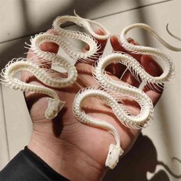 1 Pcs Complete specimen of snake skeleton/ Real bone/Collection/Garden, water tank decoration/ 30~40cm 210727