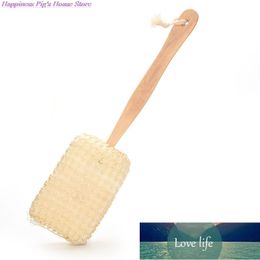 Shower Design Bath Brushes Bathroon Products Long Wooden Handle Natural Sisal Body Back Sponge Scrubber Sanitary Ware Suite