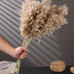 Wedding use pampas grass flower bunch Natural Dried Reed christmas decor Modern Home Decoration 210706