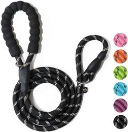 Cat Collars & Leads 2 In 1 Durable Slip Rope Dog Leash Collar Nylon Basic Training Big Loop Pet Walking Lead Tape Harness Leashe