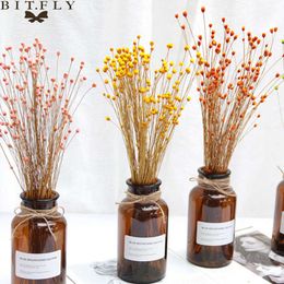 Real Happy Flower Small Natural Dried Flowers Bouquet Dry Flowers Press Mini Decorative Photography Photo Backdrop Decor Y0630