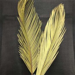 5PCS Dried Natural Flowers Sago Cycas Branch,Fruticose Dracaena Dry Palm Fan Leaves,Party Art Wall Hanging,Wedding Decoration 211120