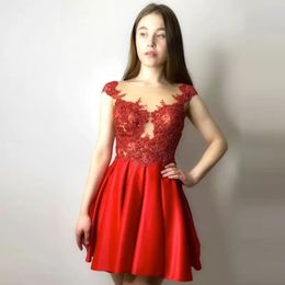 Cute Red Strapless Short Graduation Homecoming Dresses Scoop neck lace Appliques Cocktail Prom Dress New Open Back M346