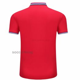 #T2022000545 Polo 2021 2022 High Quality Quick Drying T-shirt Can BE Customised With Printed Number Name And Soccer Pattern CM