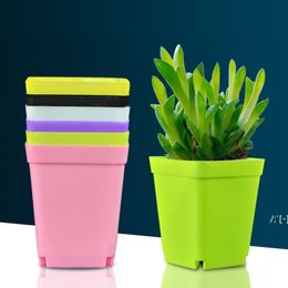 Flower Pot Square Plastic Planter Nursery Garden Desk Home Decor Candy Colour With Tray Random Colours DWF12518