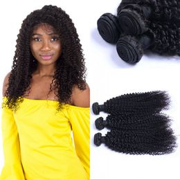 Brazilian Kinky Curly Human Hair 3/4 Bundles Natural Colour Hair Weave Extensions for Women