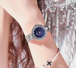 Diamond Goddess Luminous Quartz Womens Watch Stainless Steel Mesh Belt Wear Resistant Ladies Wrist Watches Nature Beauty Simple Tw2416