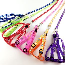 Dog Leashes Patch Hand Holding Rope Nylon DogChain Traction Belt Pet Supplies