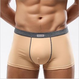5pcs/lot Mens Boxers Summer Sexy Underwear Colourful Cotton Man Short Solid Flexible Shorts Boxer Male Pants Sets1