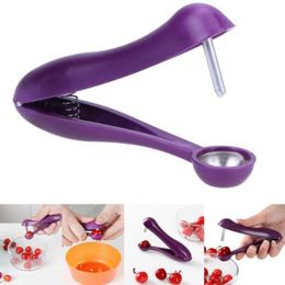Cherry Pitter kitchen toy Stone Remover Corer Kitchen Olive Seed Pits Machine with nice paper card