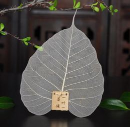Bodhi Leaf Tea Filter Mesh Tea Infuser Reusable Strainer Loose Leaf Filter Creative Net Kongfu Tea Accessory #202199