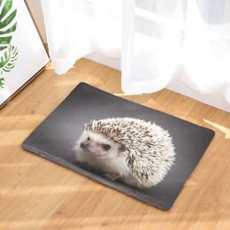 CAMMITEVER Lovely Small Animal Hedgehog Carpet Alfombra Chair mat Seat Pad Area Rugs Washable Bedroom Kids Room Decoration 210301