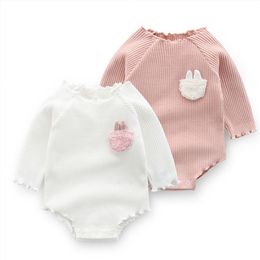 Cute Baby Girls Clothes Spring Autumn Cotton Long Sleeved Bodysuit Baby Bag Fart Jumpsuit Sibling Outfits Newborn Infant Clothes 210315