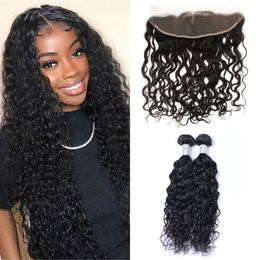 Cambodian Human Hair Water Wave 13x4 Lace Frontal Closure with Bundles 3pcs/lot Extensions