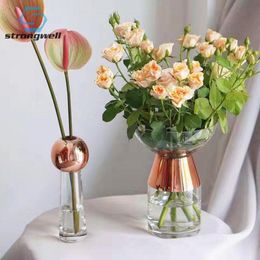 vases for table decorations NZ - Vases Strongwell Modern Nordic Luxury Glass Vase Transparent Hydroponic Flower Crafts European Home Table Decorations Living Room