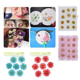 Decorative Flowers & Wreaths 12PCS/Bag Pressed Daisy Dried Flower Pendant Necklace Resin Jewellery Making DIY Crafts Art Beautiful Natural Hig