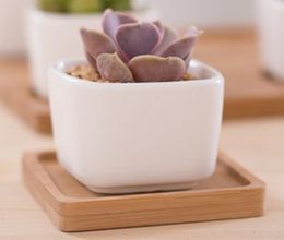 Succulents Fleshy Plants Pot White Colour Ceramics Simplicity Fashion Mini Flowerpot Office Desktop Decoration New Arrival