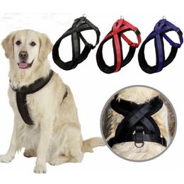 Dog Collars & Leashes Adjustable Ling Chong Pet Leads Chest Straps Small Basic Halter Harnesses Keep Your Cat Safe And Comfortable