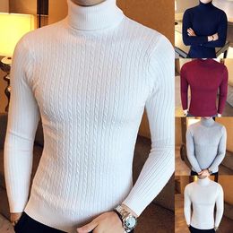 Men's Knitted Sweaters Pullover Men Knitwear Casual Winter Solid Colour Turtle Neck Long Sleeve Twist Knit Slim Sweater