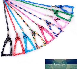 Dog Collars & Leashes 100pcs Nylon Pet Puppy Training Straps For Small Dogs Cat SN19751 Factory price expert design Quality Latest Style Original Status