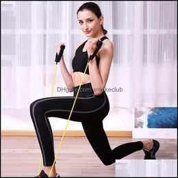 d sports Canada - Resistance Bands Equipments Supplies Sports & Outdoorspl Rope 11-Piece Set Of D-Shaped Iron Buckle Tpe Pipe Latex Tension Band Home Fitness