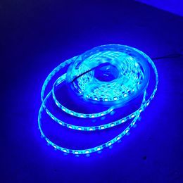 60 Leds/M Blue Waterproof Light Strip Set DC12V 5M Tape Light LED Human Infrared Sensor 12V3A Power Supply Adapter EU plug