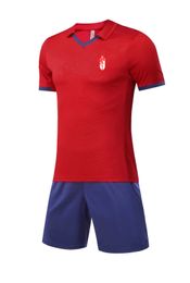 Granada Club de Futbol Men's Tracksuits lapel sports suit Back mesh breathable exercise cool outdoor leisure sport short-sleeved shirt