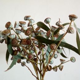 Decorative Flowers & Wreaths 5pcs Eucalyptus Dried Flower Natural Plant Real Home Decoration Art Fruit