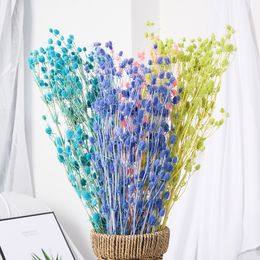 Immortal Lover Fruit Colourful Decorative Flowers Dried Parsley Home Furnishing Decoration Artificial Flower Arrangement 17kp B3