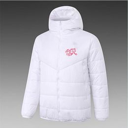 Switzerland Men's Down hoodie jacket winter leisure sport coat full zipper sports Outdoor Warm Sweatshirt LOGO Custom