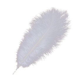 White Ostrich Feather 25-30cm(10-12inch) Ostrich Feather Plumes For Wedding Centerpiece Party Event Decor Festive Decoration Many Plumas De Avestruz