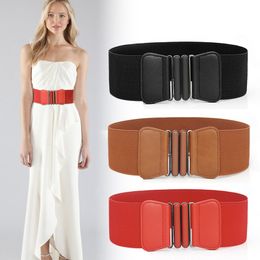 fancy belts for dresses canada
