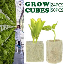 24/50 Pcs Rockwool Sheet Block Propagation Cloning Seed Raising Soilless Cultivation Hydroponic Grow Cubes Rock Wool Cubes 210615