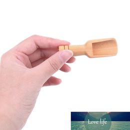4PCS Kitchen Gadgets Nature Wooden Spice Spoons Sugar Tea Coffee Scoop Eco-friendly Cooking Tool Wooden Spoon Mini