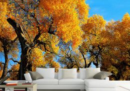 2021 High-grade landscape photo wallpapers living room bedroom wallpaper for walls 3 d Modern HD background