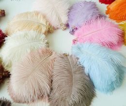 Wedding Decorations Ostrich Feather 8-10 inches Party red blue Pink White 28 Colours Festival Table Backdrops Cake Toppers Home Plume Supplie