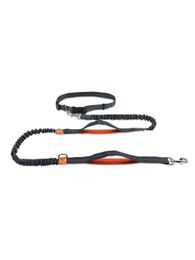 Retractable Hands Free Dog Leash For Running Dual Handle Bungee Leash Reflective For Large Dogs Pet Supplies 211006