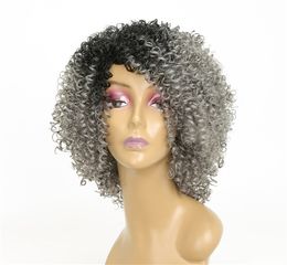 15 inches Afro Kinky Curly Synthetic Wig Side Apart Pelucas Simulation Human Hair Wigs Grey Colour perruques de cheveux humains MS9028