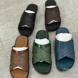 Designer Slides Slipper Men Brown Black Ostrich Leather Flat Sandals Printing Wide Cross-over Straps Shoe