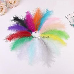 Party Decoration Diy Feather Jewelry Craft Wedding Decor Accessories Bdenet Yiwu Stainless Color Fire Chicken Maoji Ear Production Wa jllElr