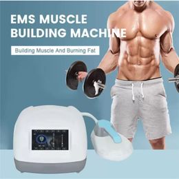 Portable Customised Ems Muscle Stimulation Body Building Weight Loss Beauty Machine