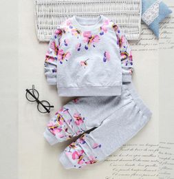 Baby Girl Clothing Sets Fashion Long Sleeve Print Floral Toddler Shirt + Pants Kids Girls
