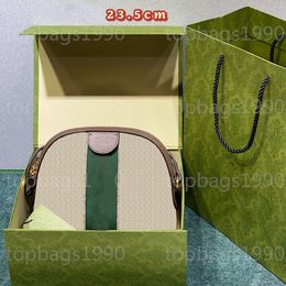 Wholesale Shell bag Handbags lady crossbody bags hobo classic Striped shoulder bags for women fashion purse handbag 499621