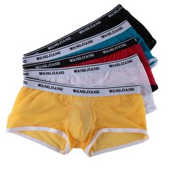 Wholesale Men's Underwear man Transparent Underpants Boxer Shorts WANGJIANG Super Thin Mesh Comfortable Sales 5001-PJ