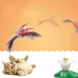 Cat Toys Kitten Butterfly Toy Interactive Interesting Training Gatos Juguetes Bird Indoor Mascota Funny Pet Products DD10WJ